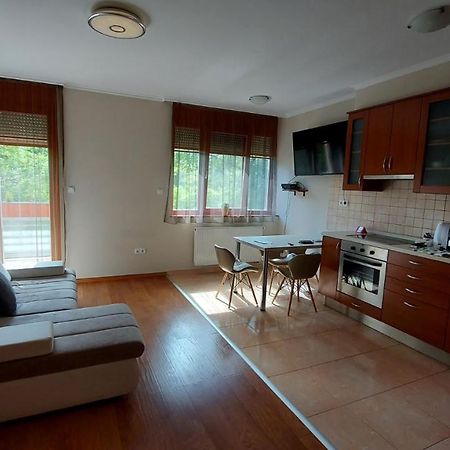 Sunny Loft Kecskemet 아파트 외부 사진